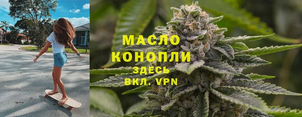 гидра Осинники