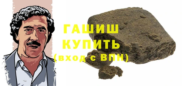 гидра Осинники